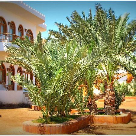 Shams Hotel & Dive Centre Дахаб Экстерьер фото