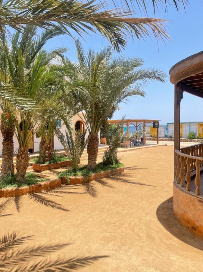Shams Hotel & Dive Centre Дахаб Экстерьер фото